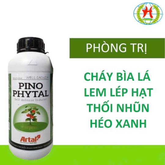 Cửa hàng vật tư nông nghiệp vỹ huyền